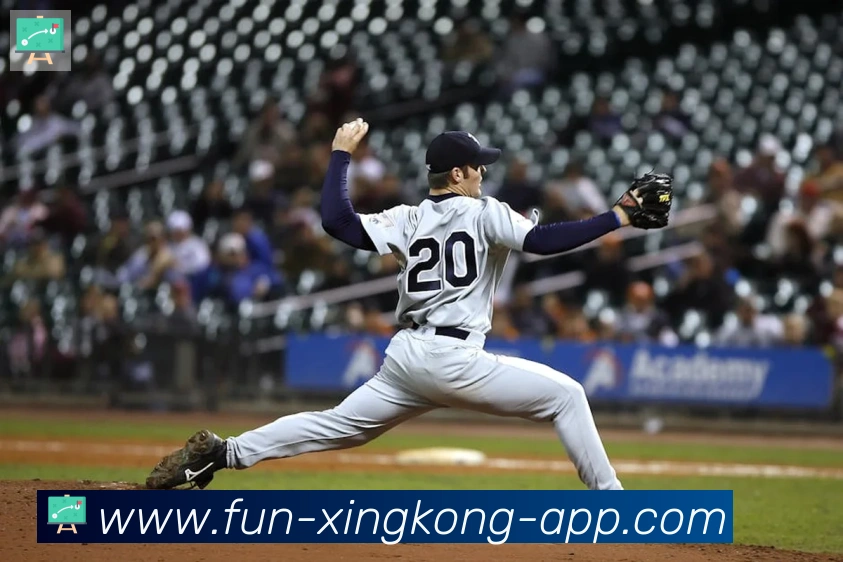 星空体育官网APP 封面图